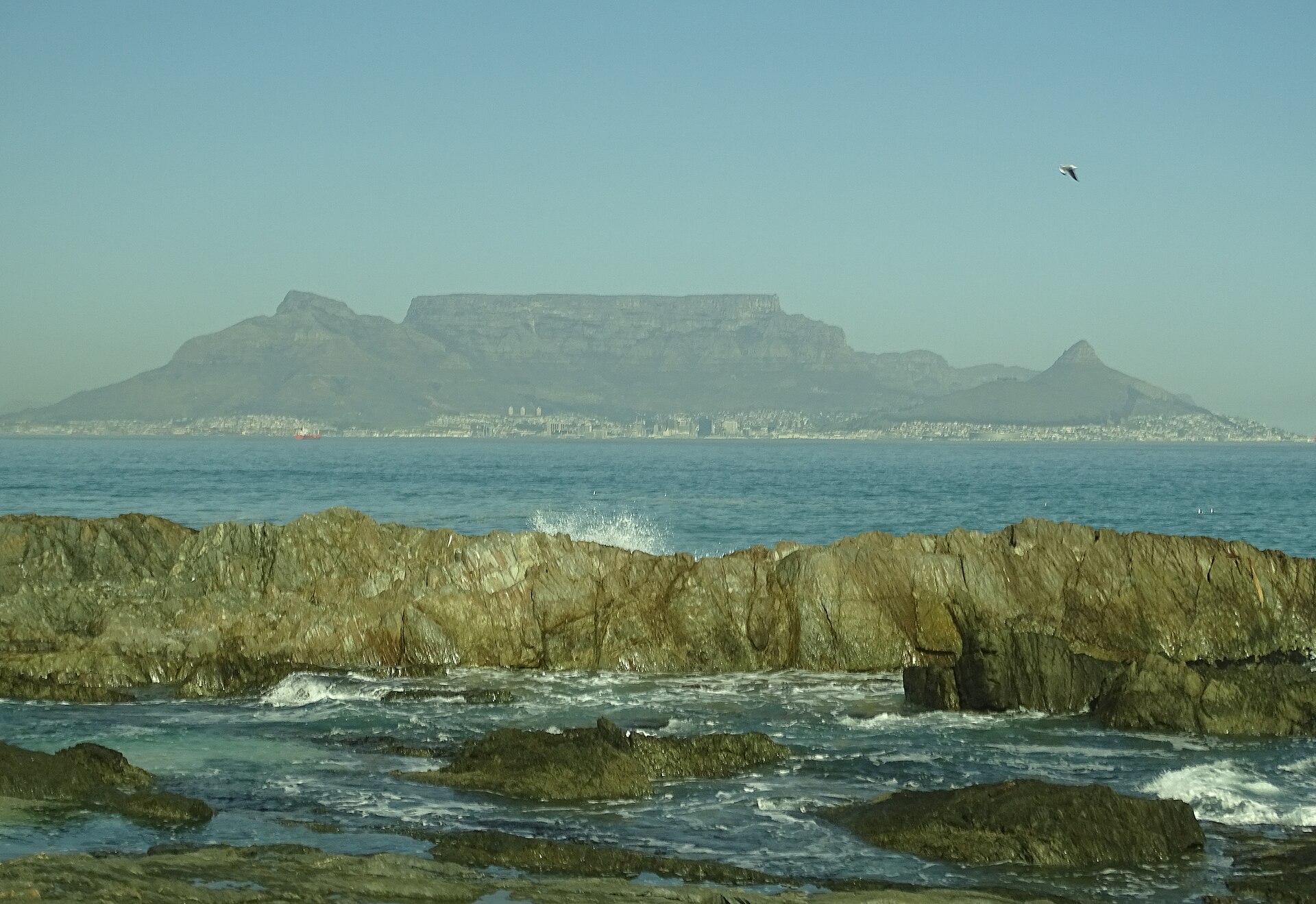 Can You Swim at Bloubergstrand? The Cold, Honest Answer