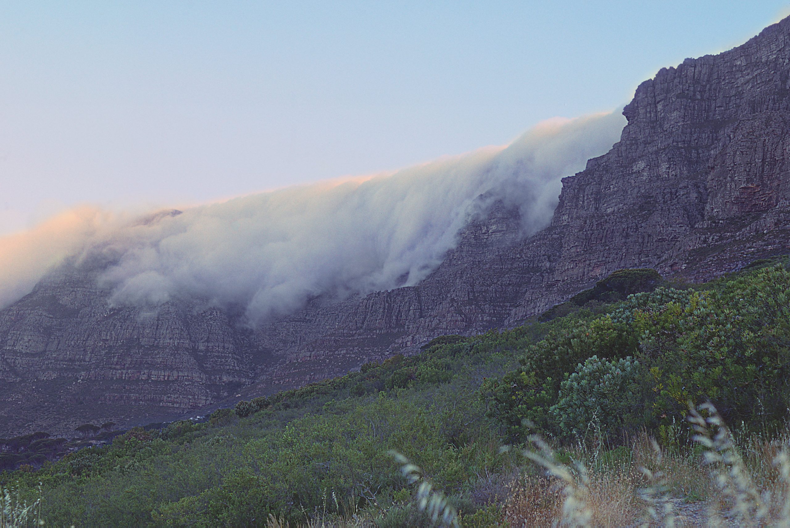 The Cape Doctor: Why Cape Town Howls in Summer, Explained